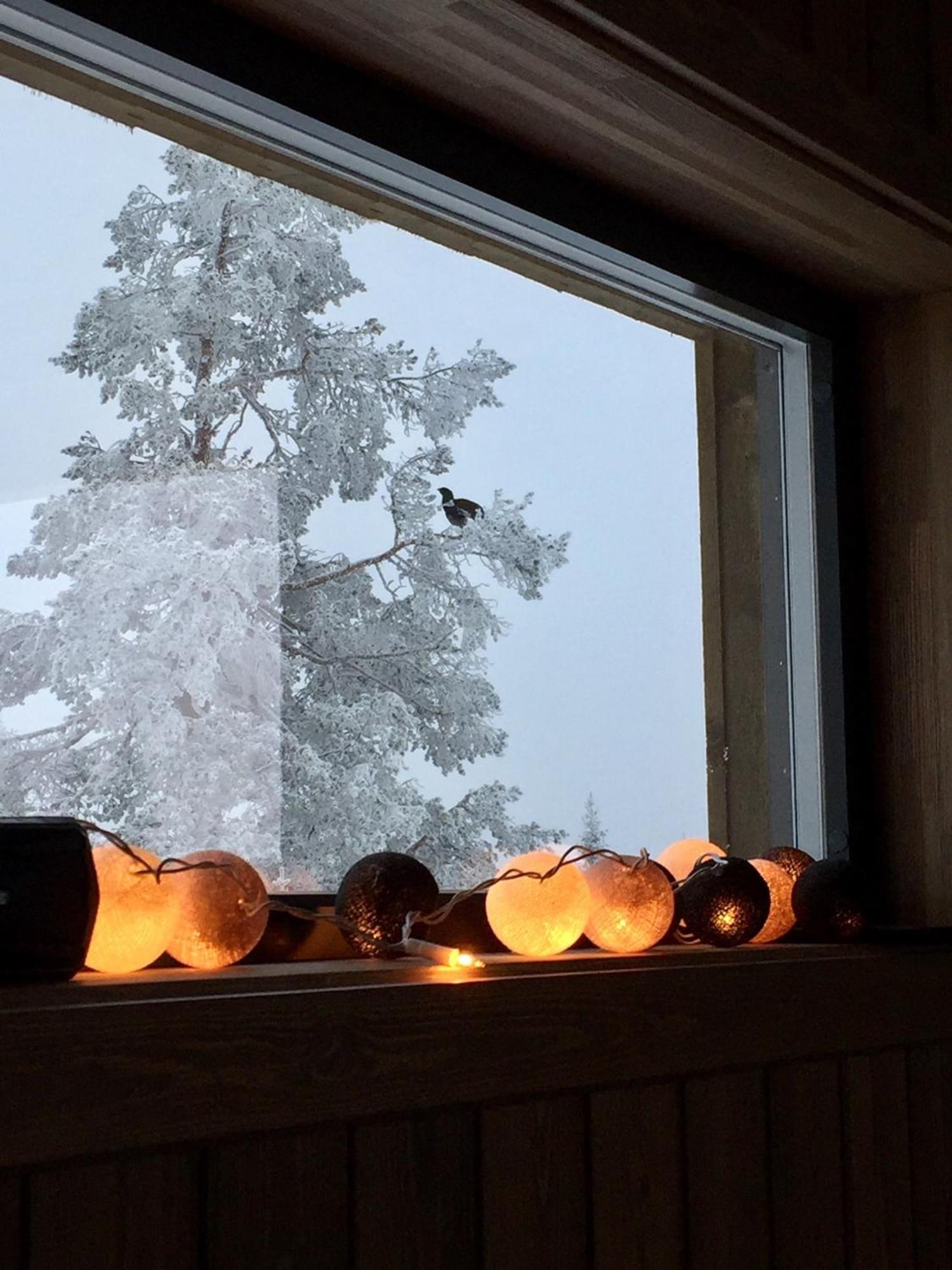 Sjusjoen 슈전 히투타이 빌라 외부 사진